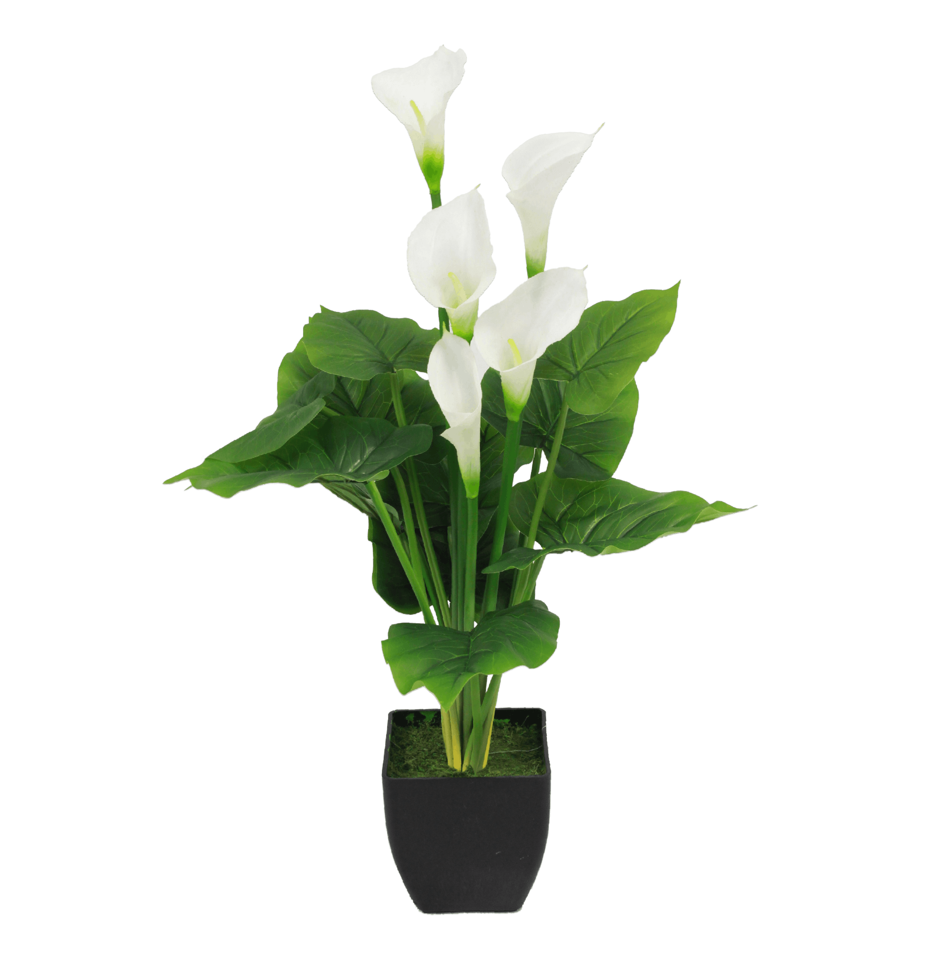 artificial-calla-lily-blooming-artificial