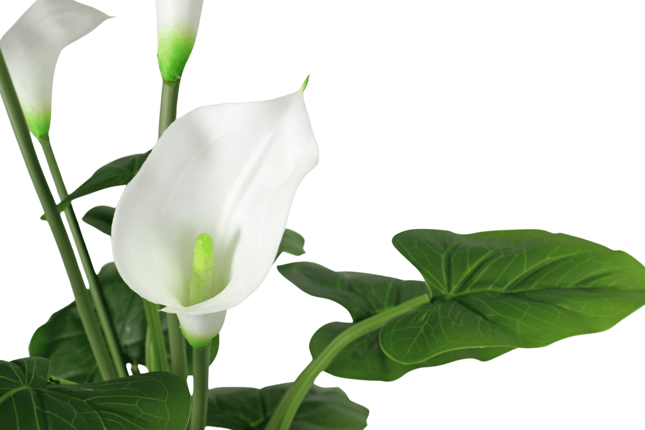 Artificial white calla lily flower