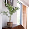 Artificial chamaedorea palm in terracotta pot on sideboard writing desk