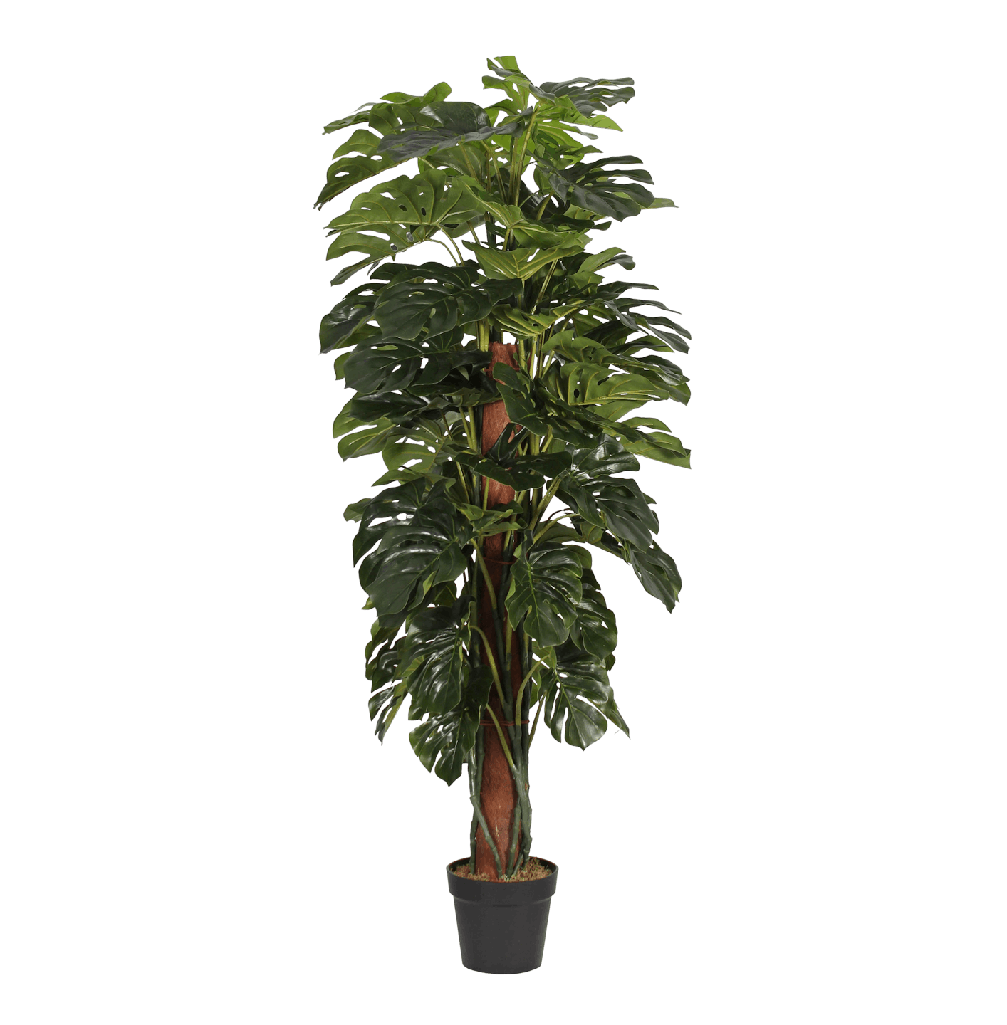 Artificial cheeseplant 150cm