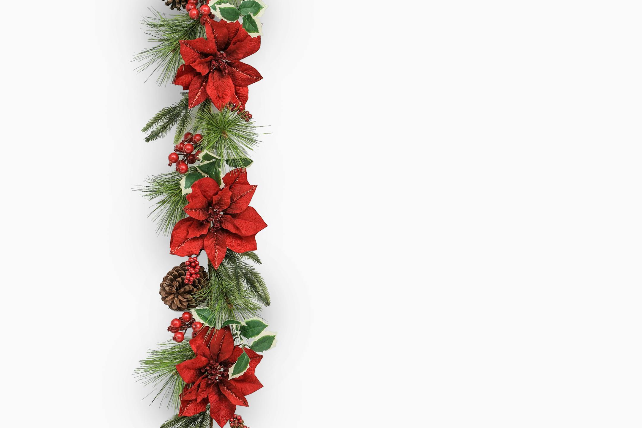 Artificial Christmas fiesta poinsettia and pinecone garland on white background