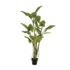 Artificial colocasia liana unique faux plant