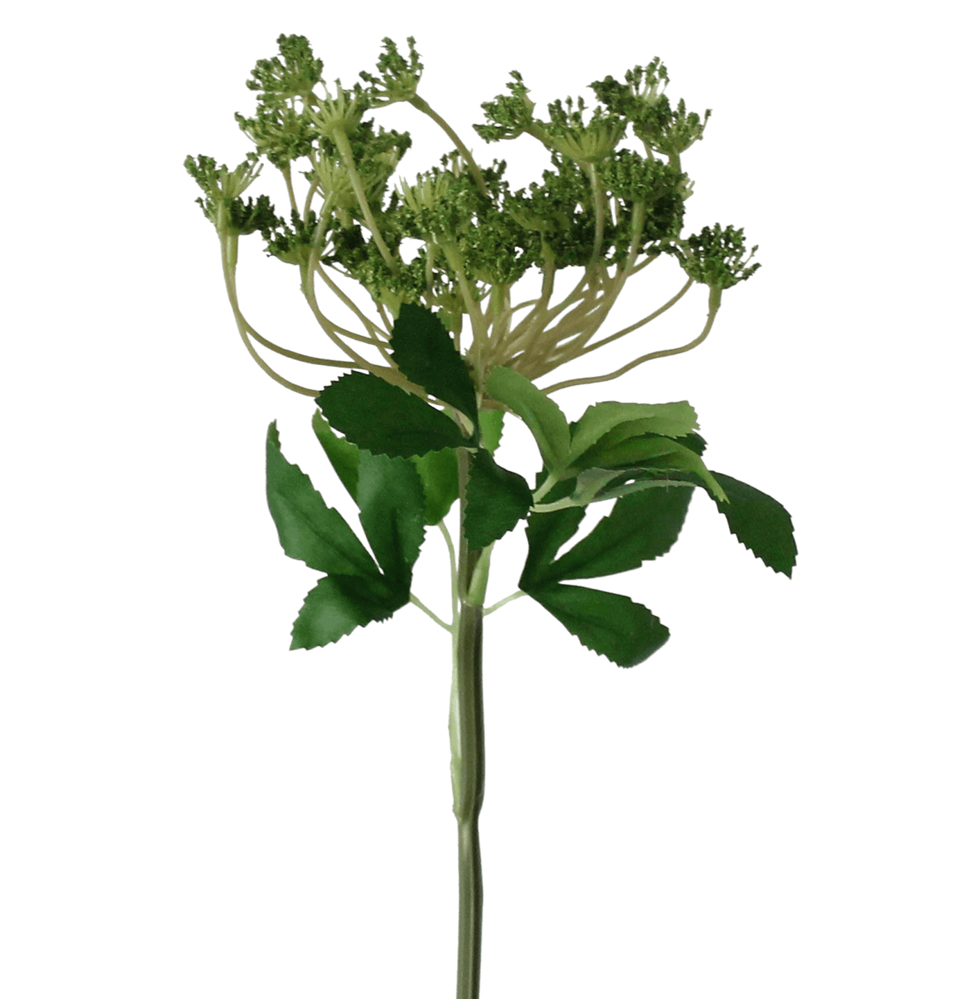 Artificial cow parsley green