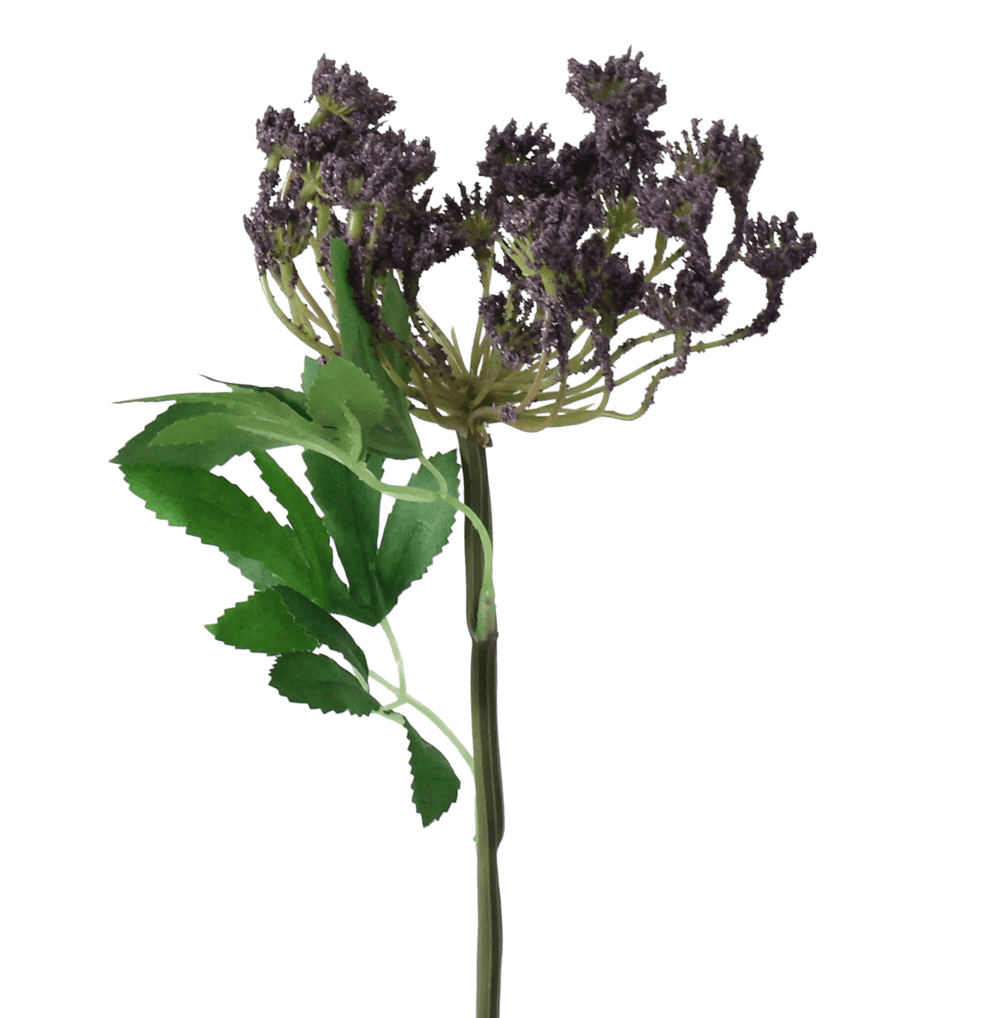 Artificial cow parsley purple