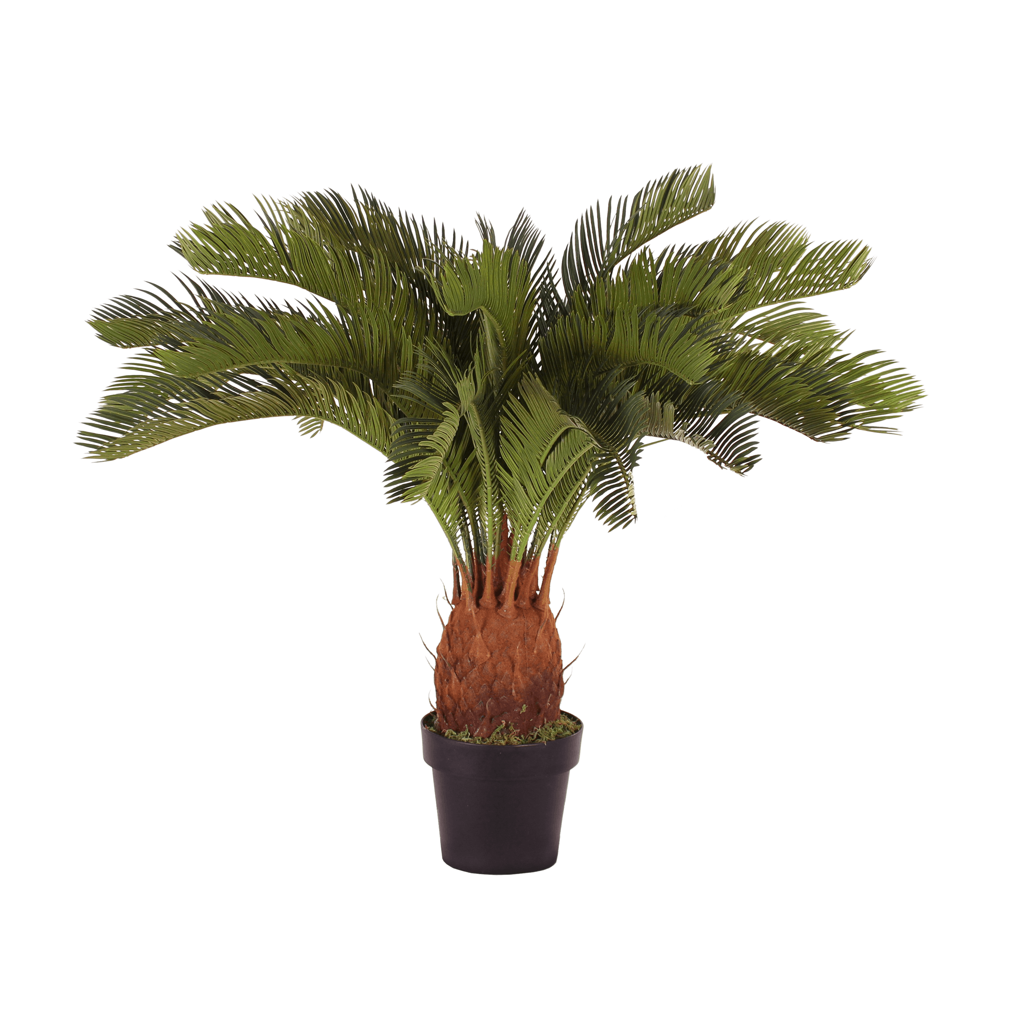 Artificial cycas revoluta plant 95cm