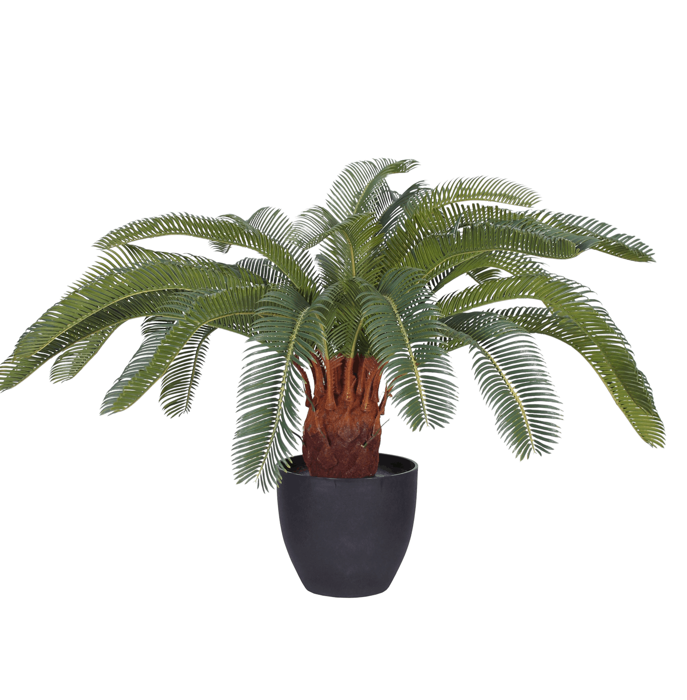 Artificial cycas revoluta plant 65cm