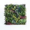Danube style artificial green wall