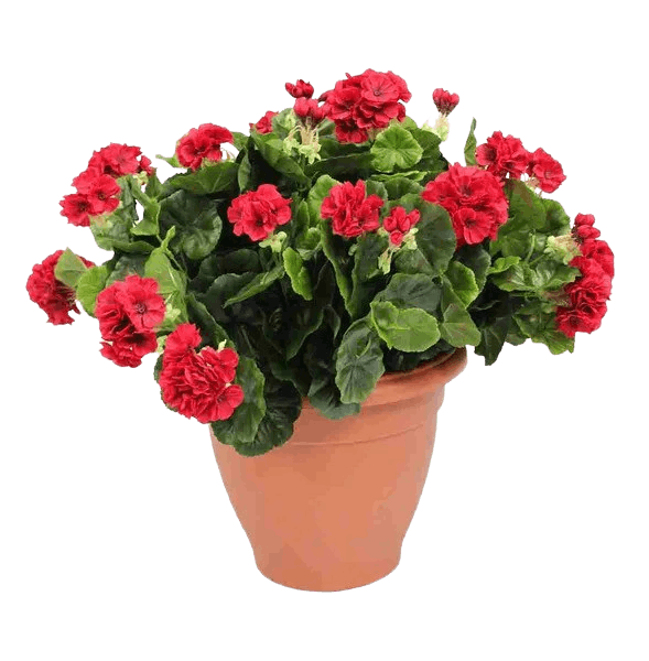 Artificial geranium patio planter red