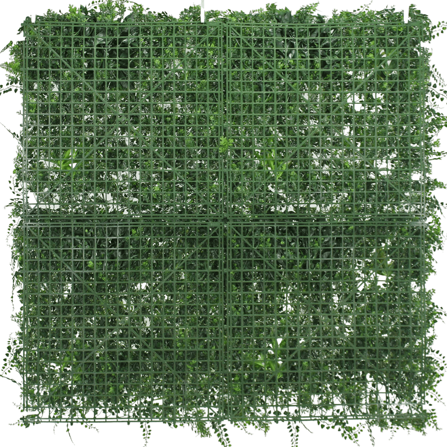 Dense fern green wall backplate