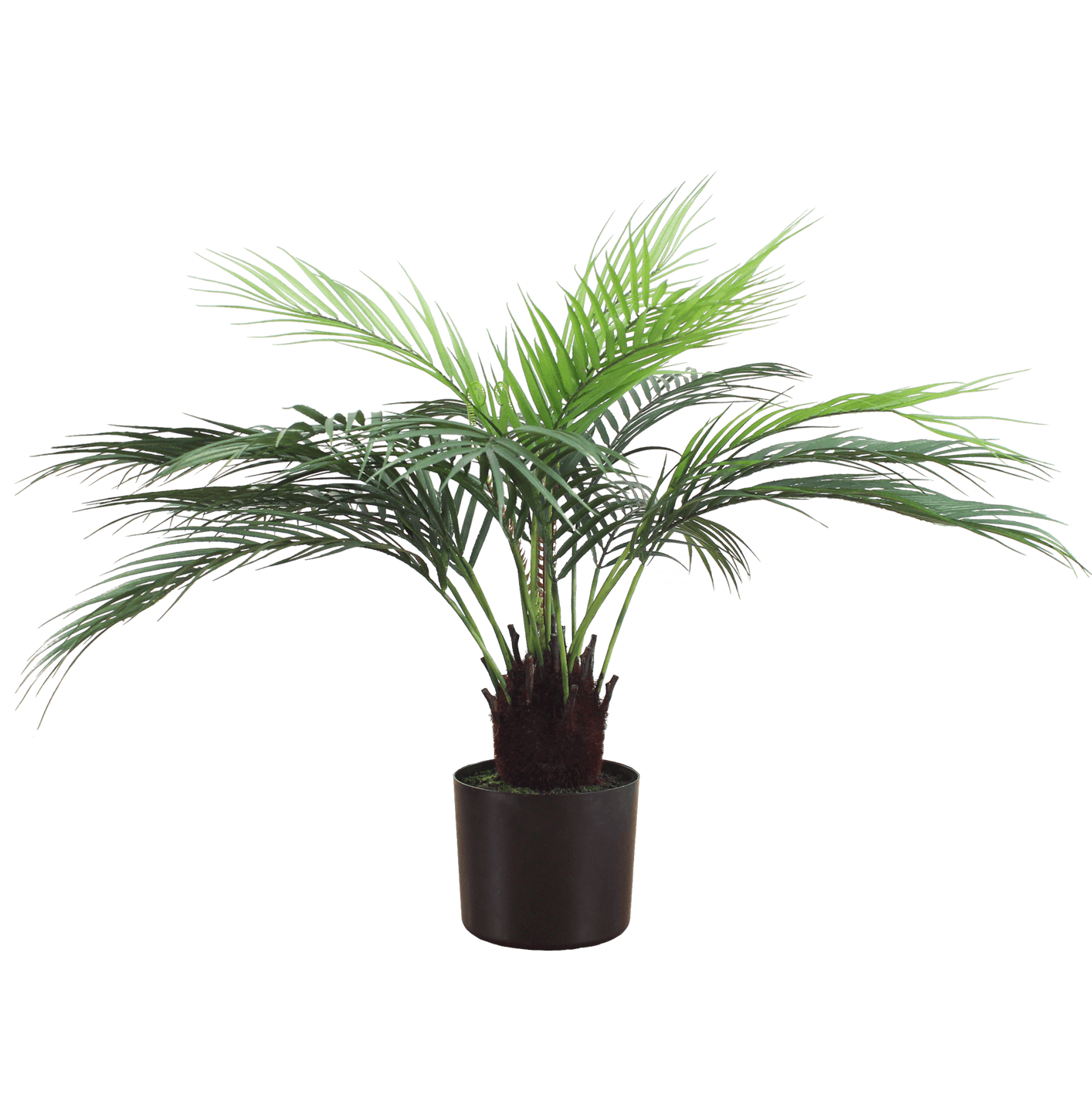 Artificial dicksonia dwarf palm tree by Blooming Artificial