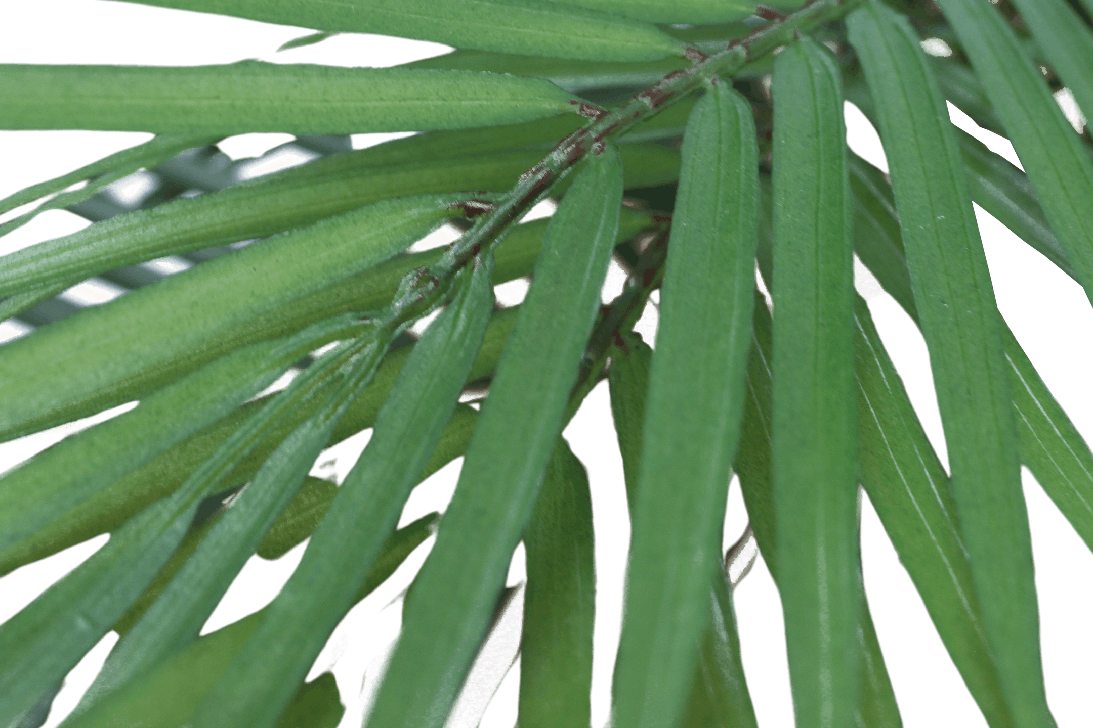 Faux dicksonia dwarf palm leaves