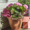 Artificial erica & geranium patio planter pink