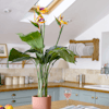 Artificial bird of paradise plant on kitchen island