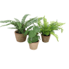 Artificial terracotta trio plants