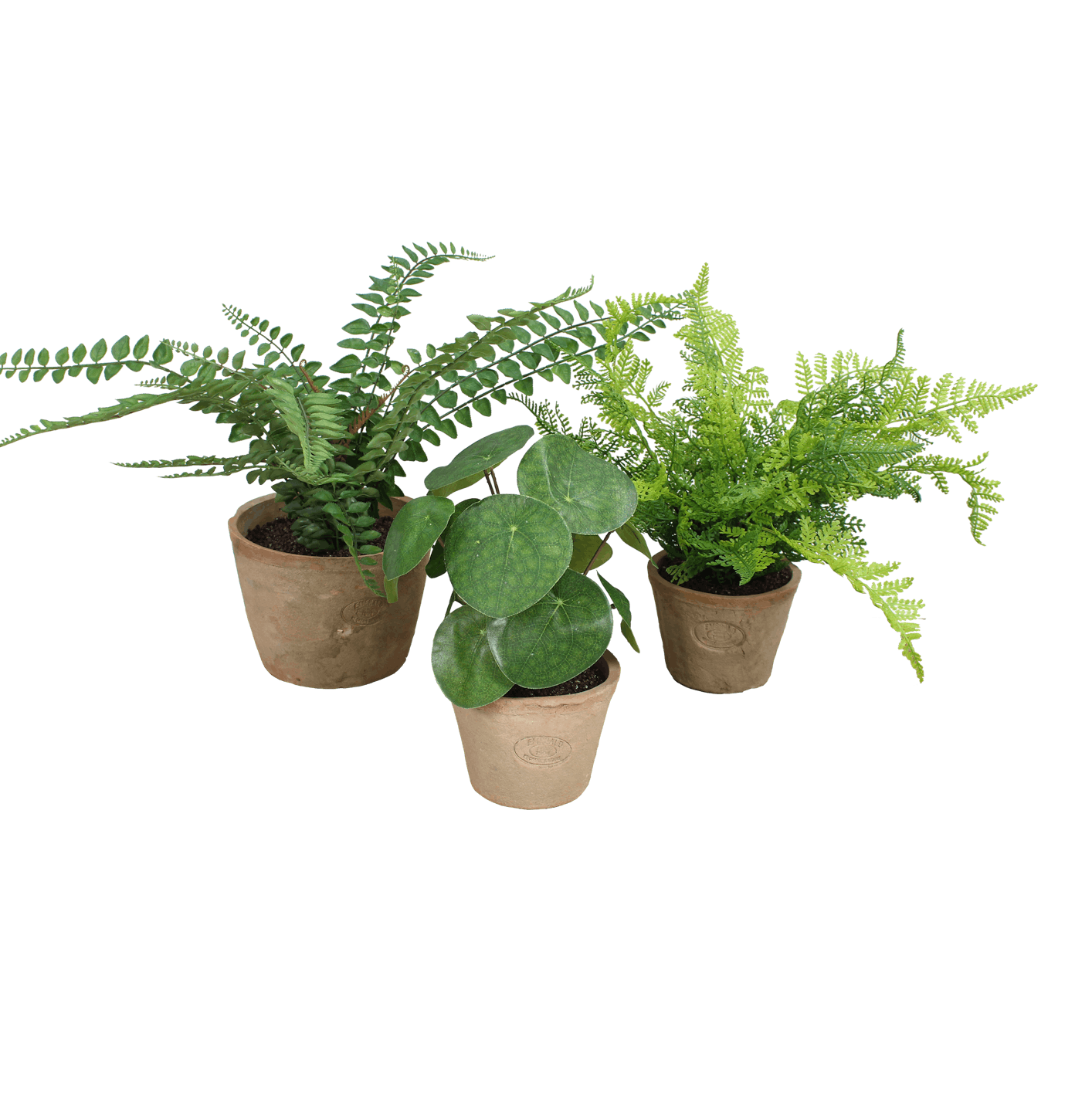 Artificial terracotta trio plants