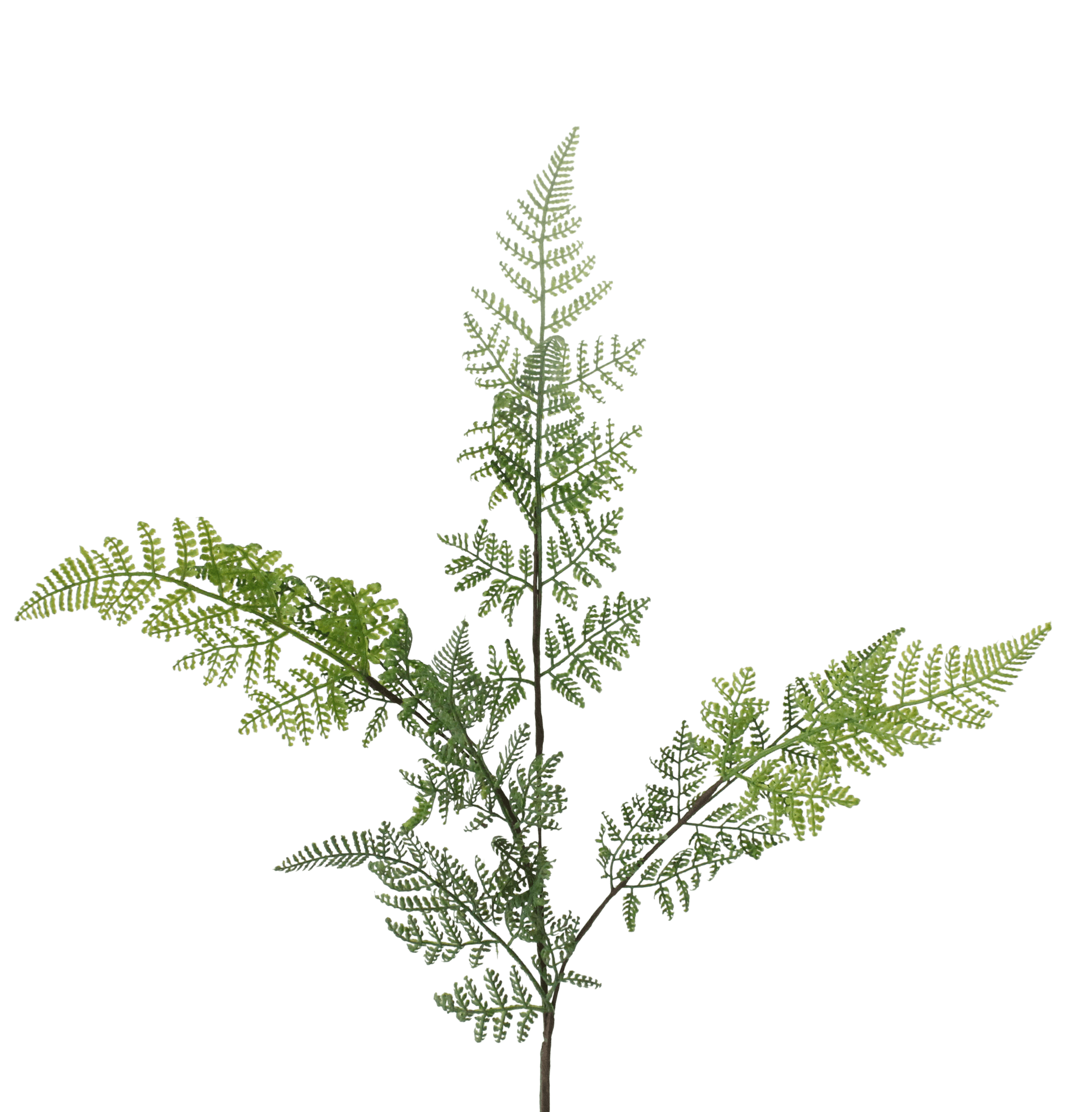 Artificial forest fern stem