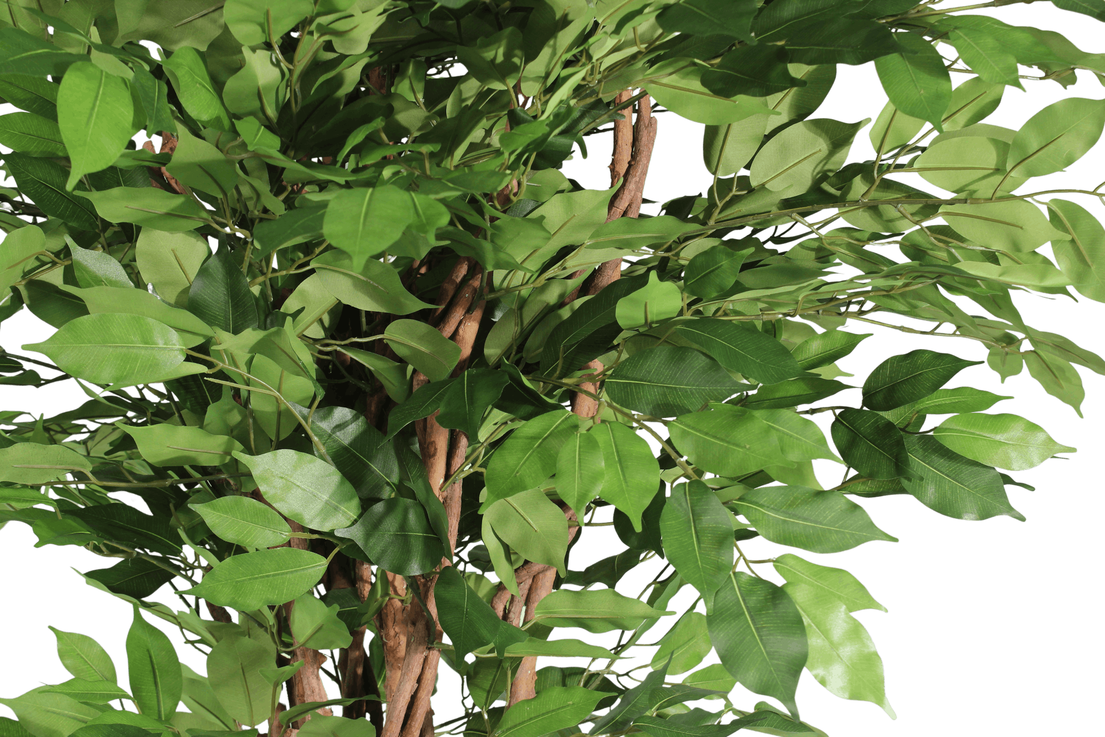 Faux ficus benjamina liana foliage