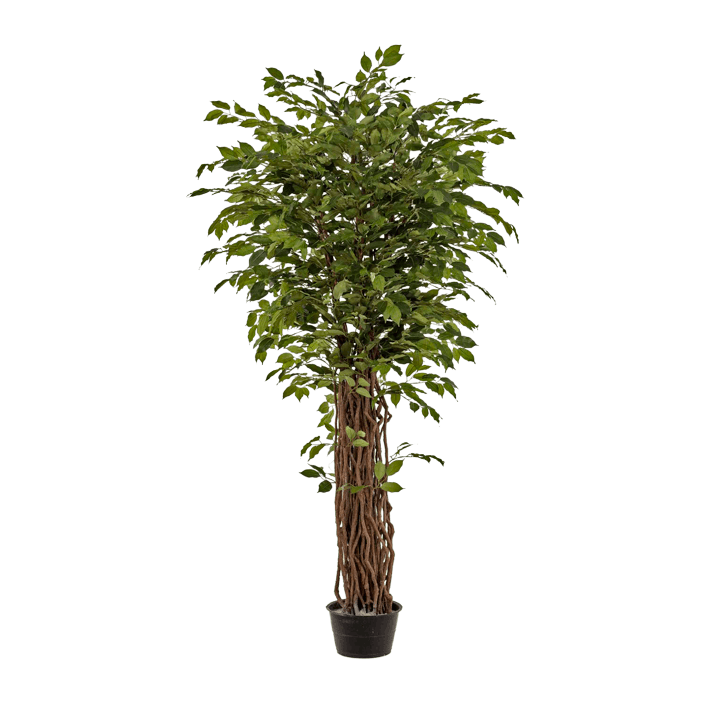 Artificial ficus benjamina liana luxury fake tree by Blooming Artificial