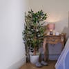 120cm green artificial ficus tree in bedroom