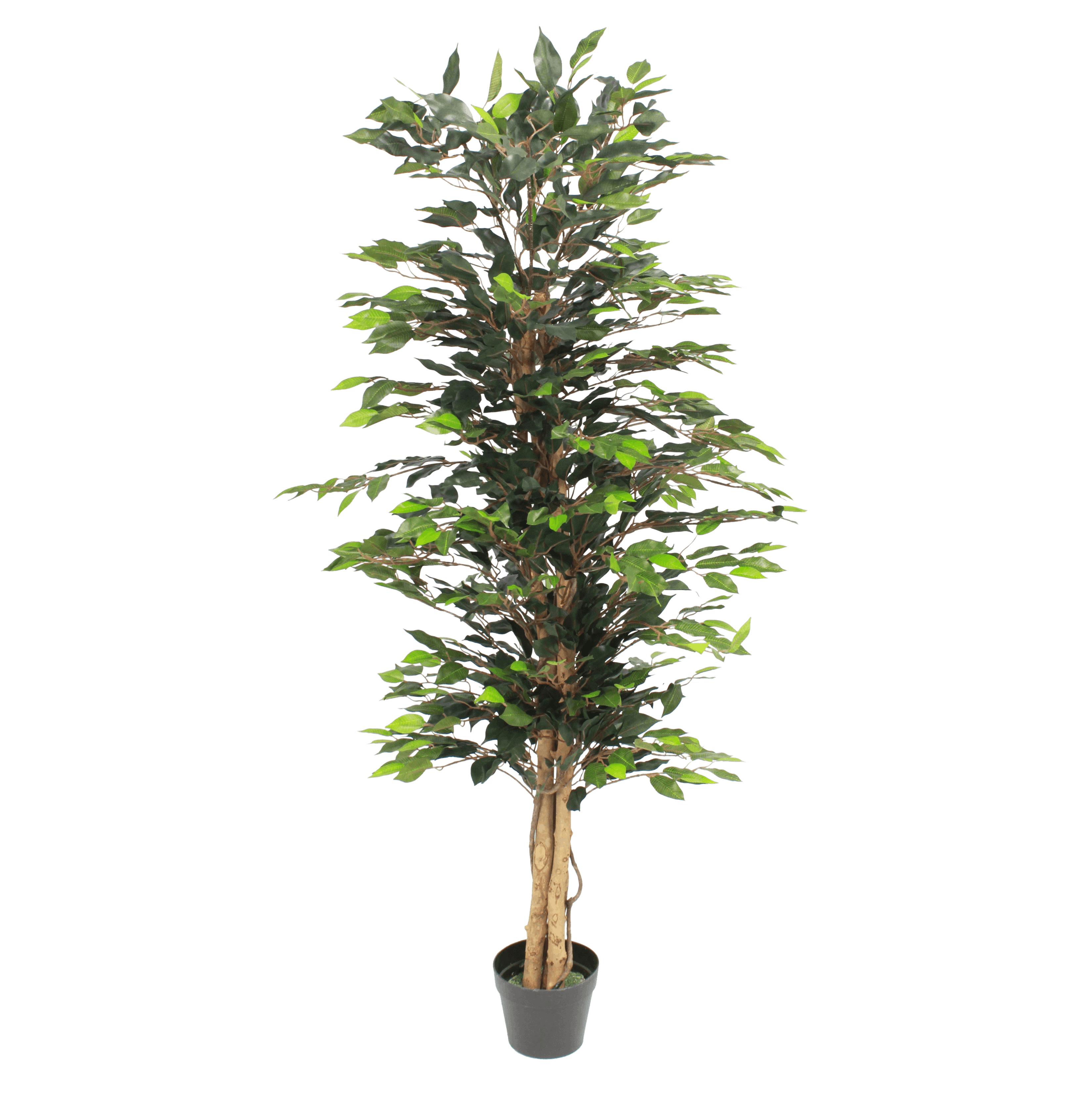 Artificial green ficus tree 150cm