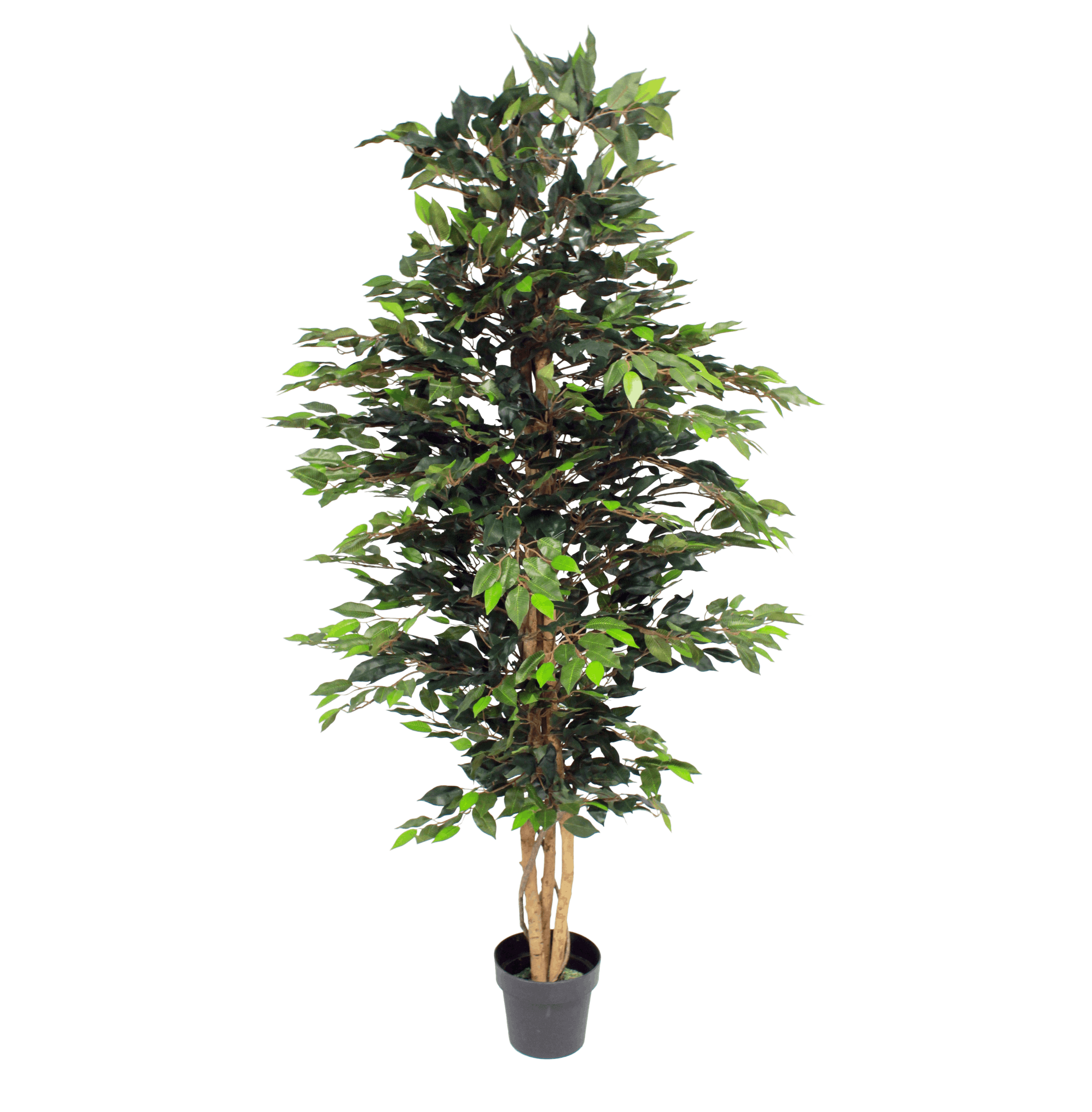 Artificial green ficus tree 180cm