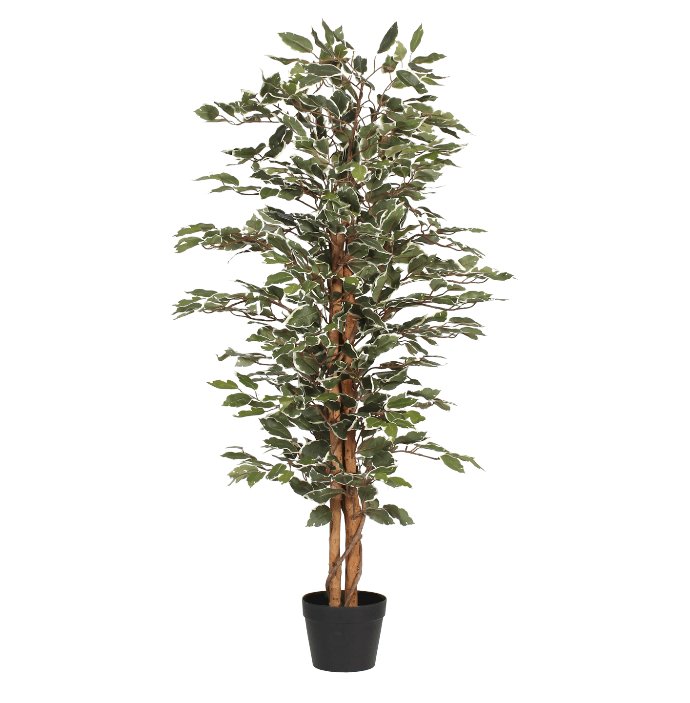 Artificial variegated ficus tree 120cm