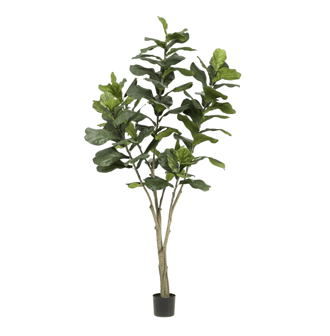 Artificial Fiddle Leaf Fig Tree Blooming Artificial