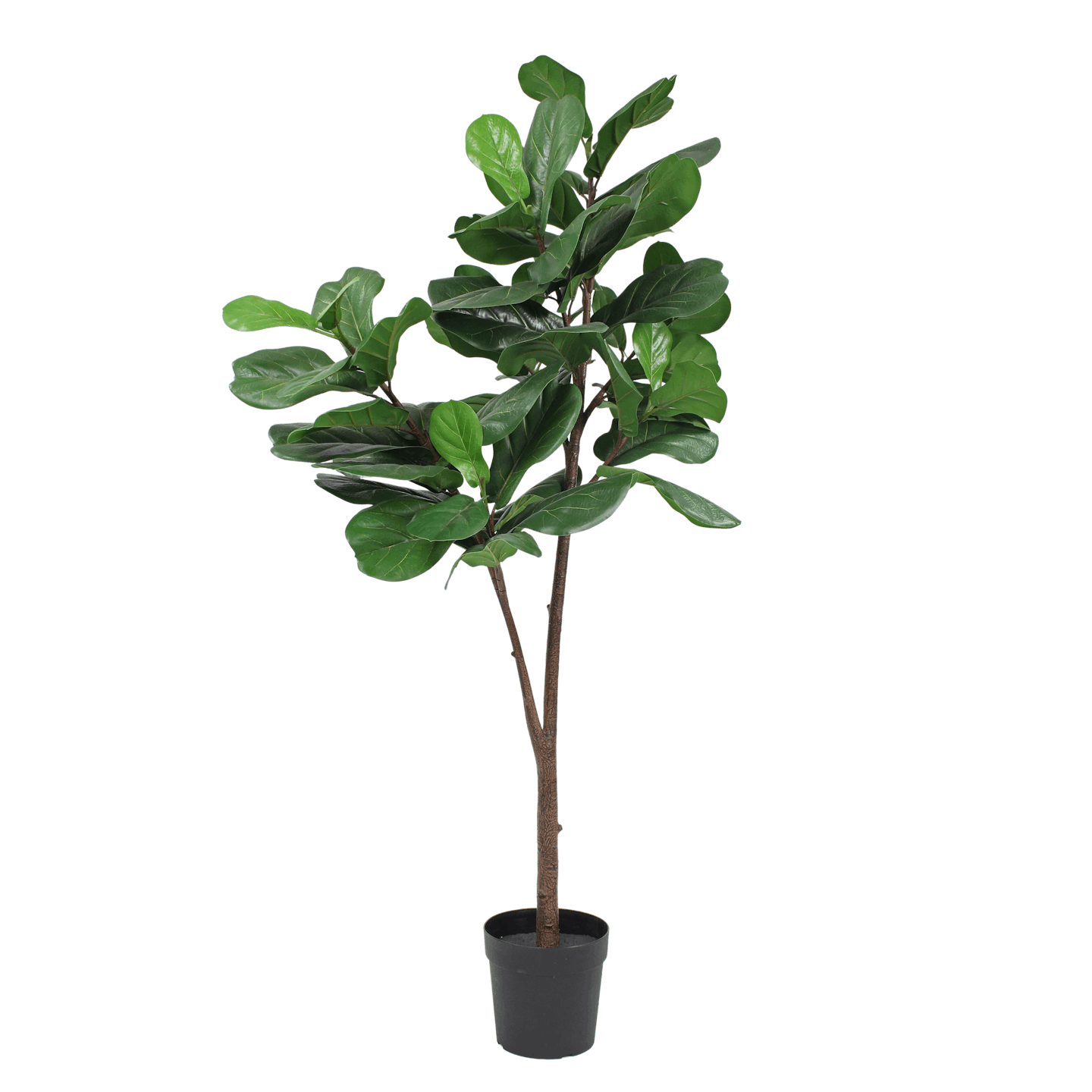 Artificial fiddle leaf fig tree 180cm 6ft