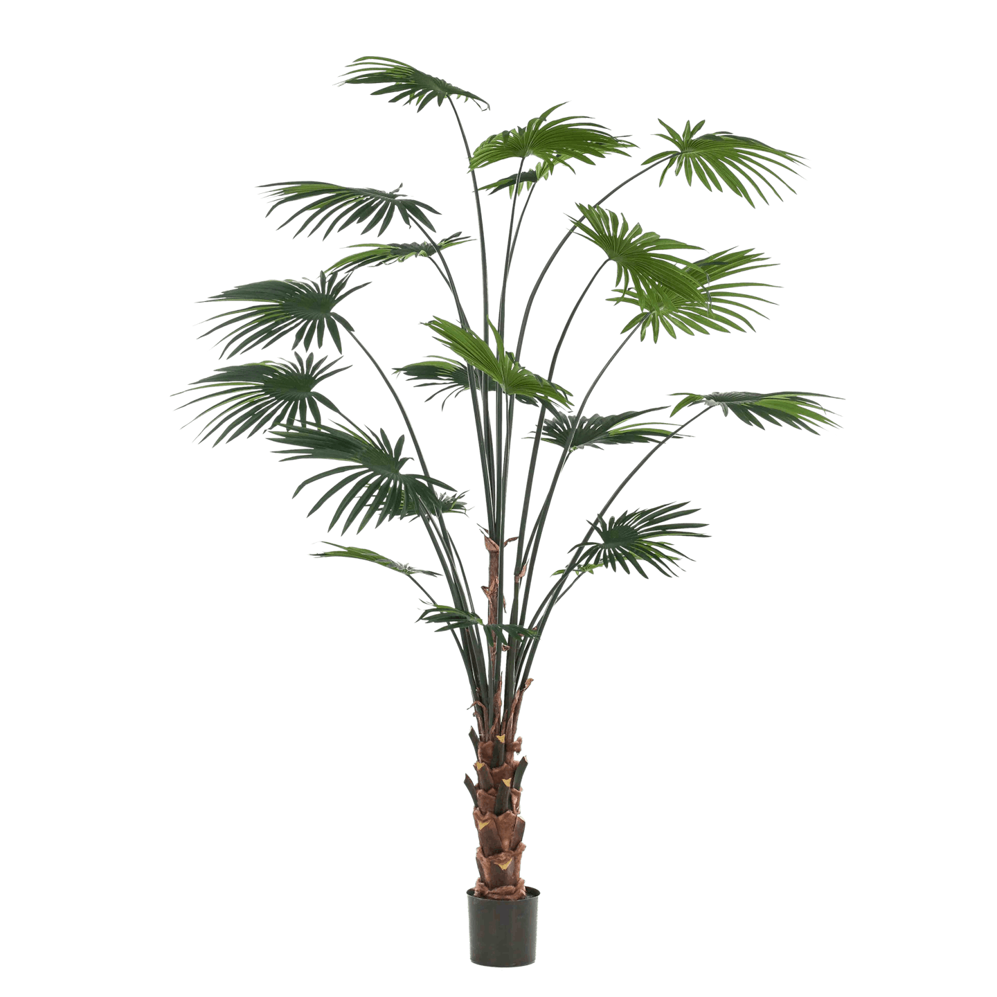 Giant artificial livingston fan palm tree for indoor use