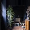 Faux green stem bamboo tree in dark interior by Blooming Artificial