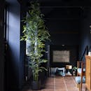 Artificial green stem bamboo tree in dark hallway