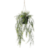 Artificial hanging asparagus