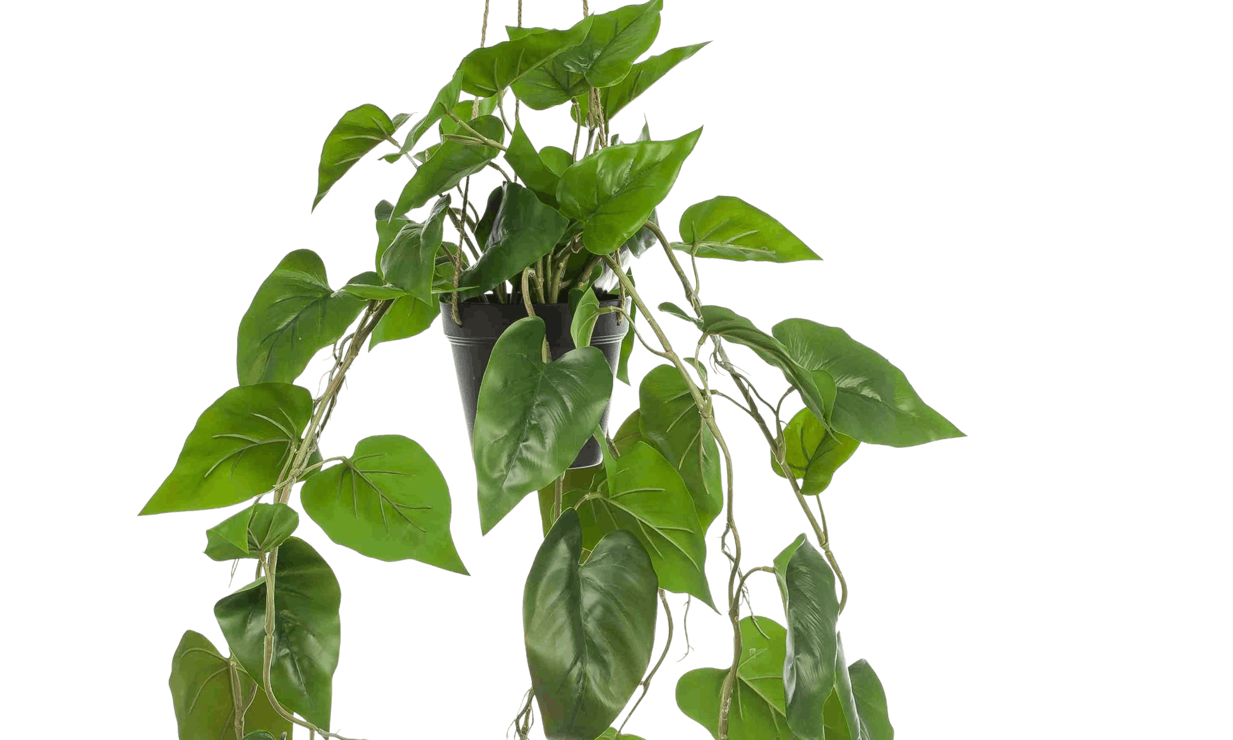 Hanging philodendron scandens artificial trailing plant