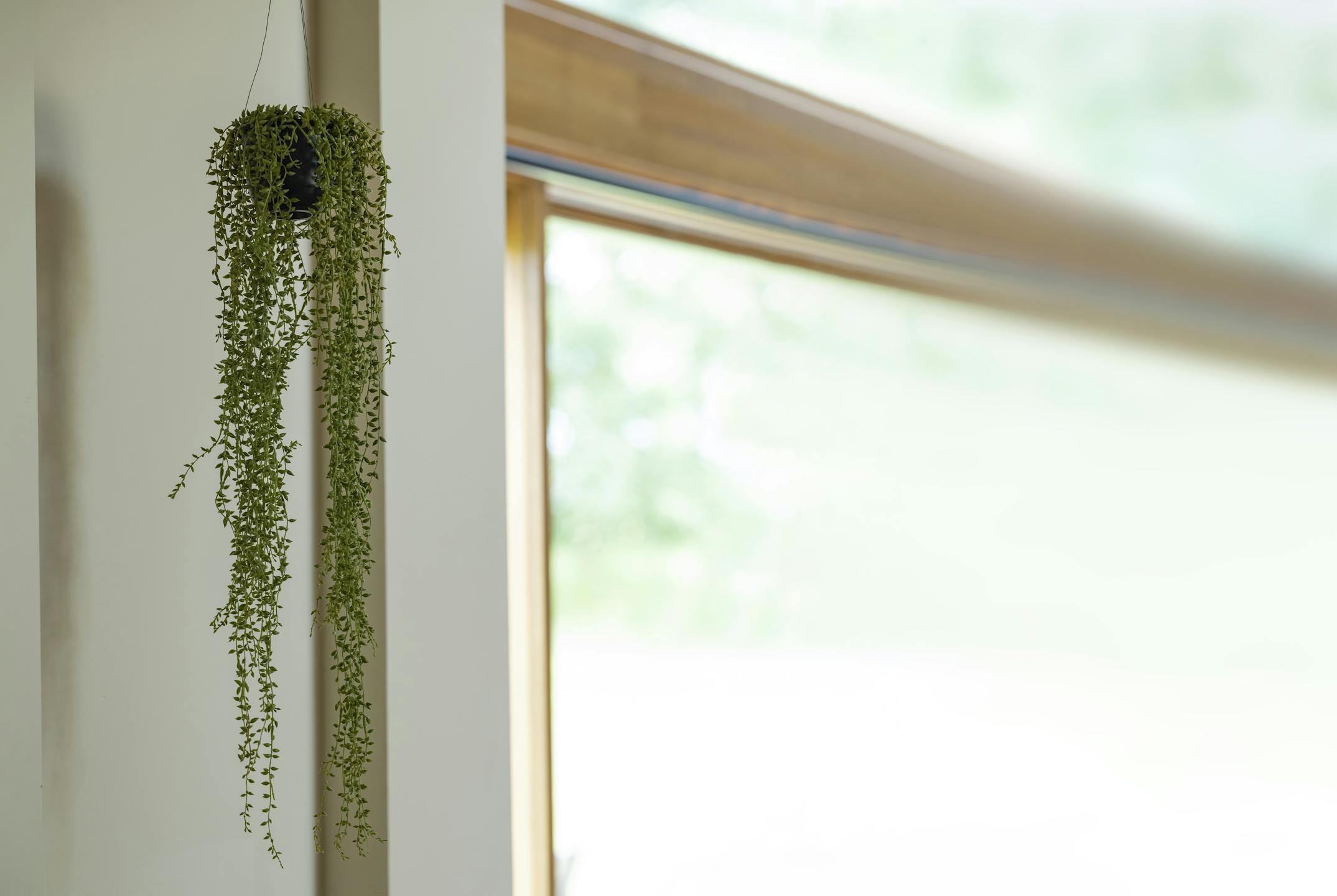 Faux hanging string of pearls