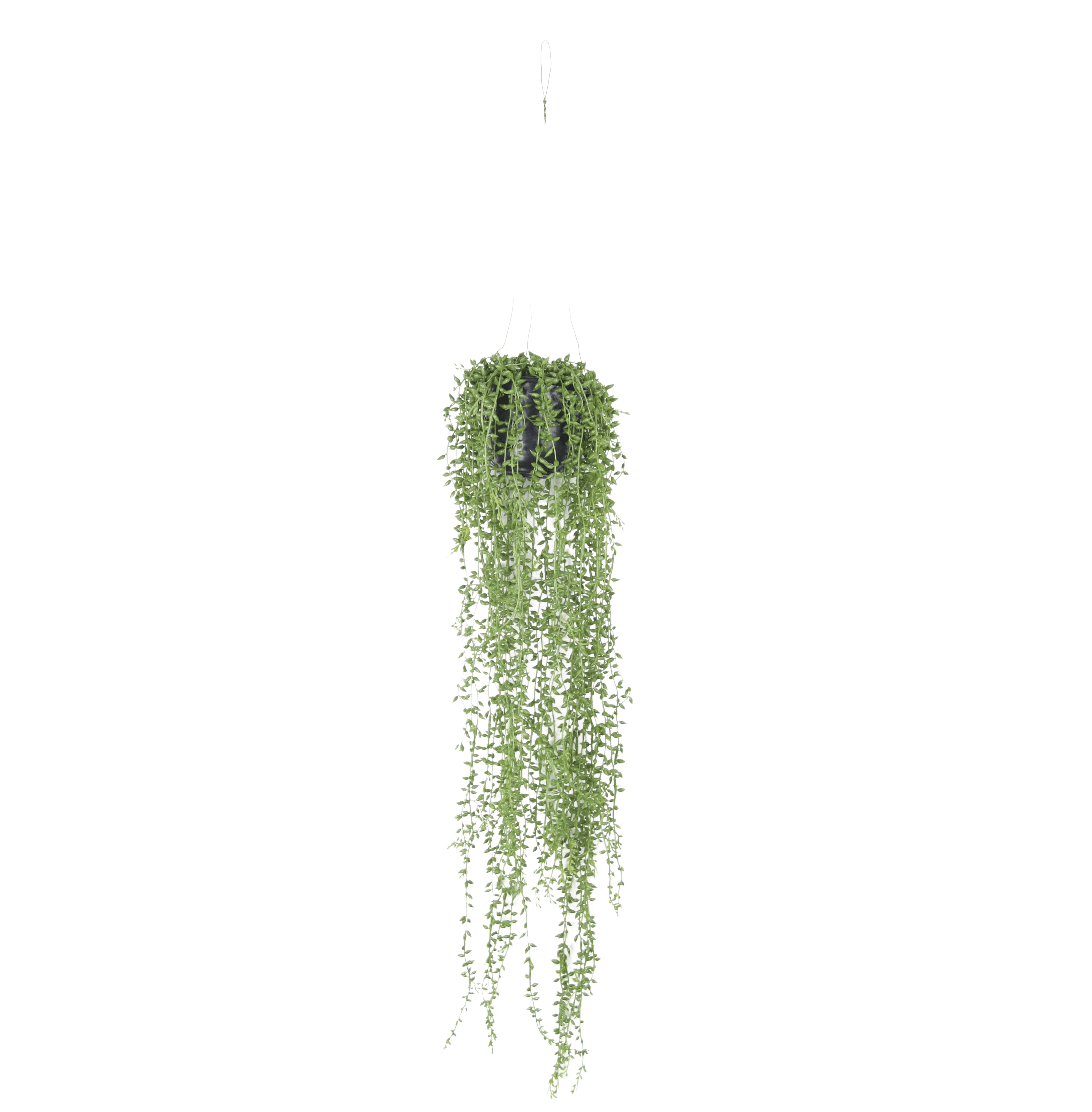 Artificial hanging string of pearls