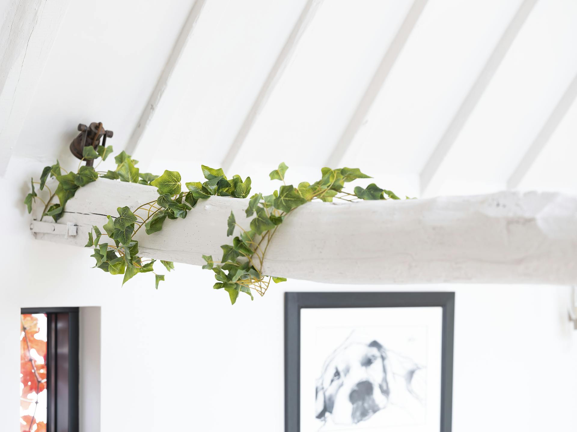 Artificial green ivy bush on white wooden beam