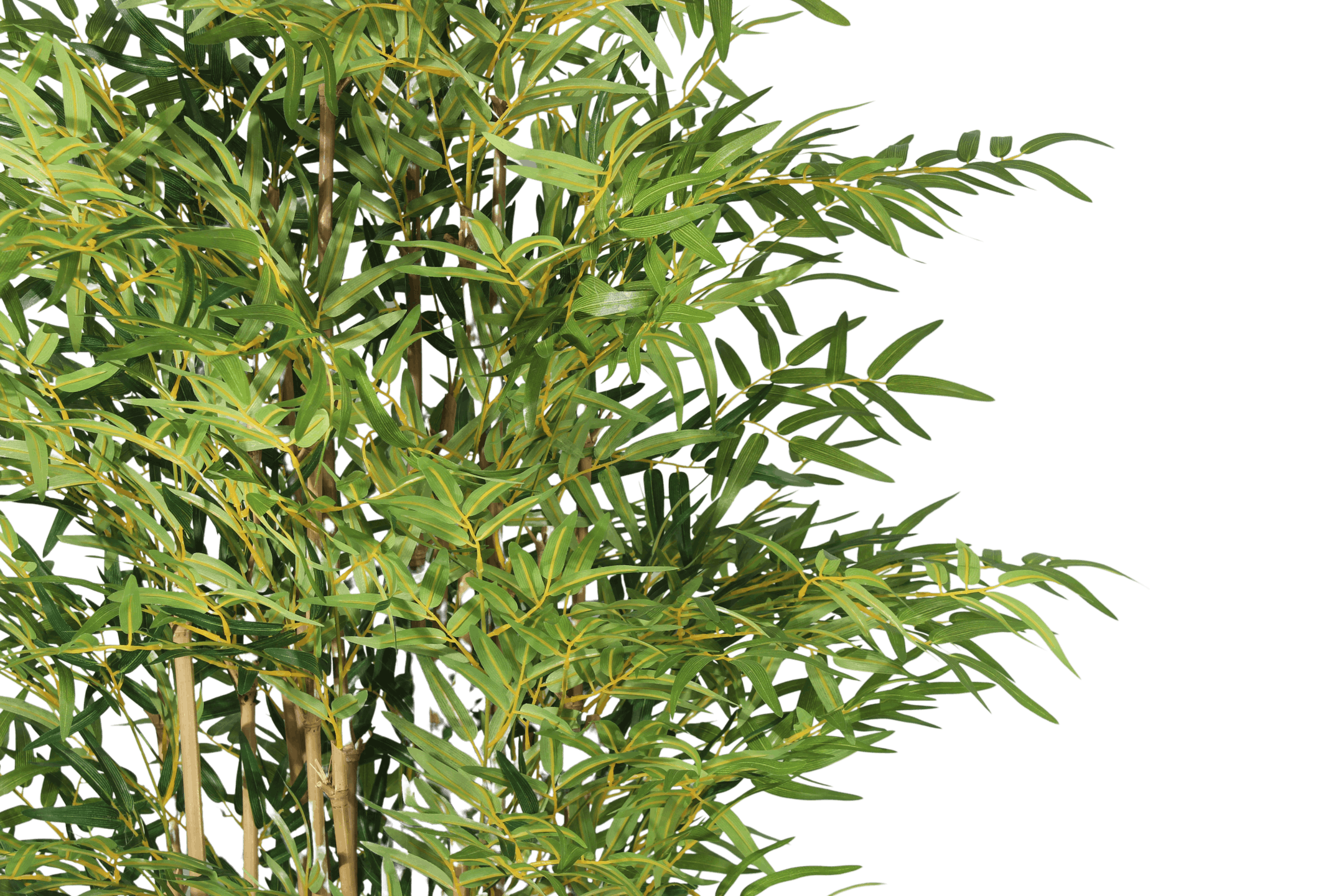 Artificial bamboo foliage closeup