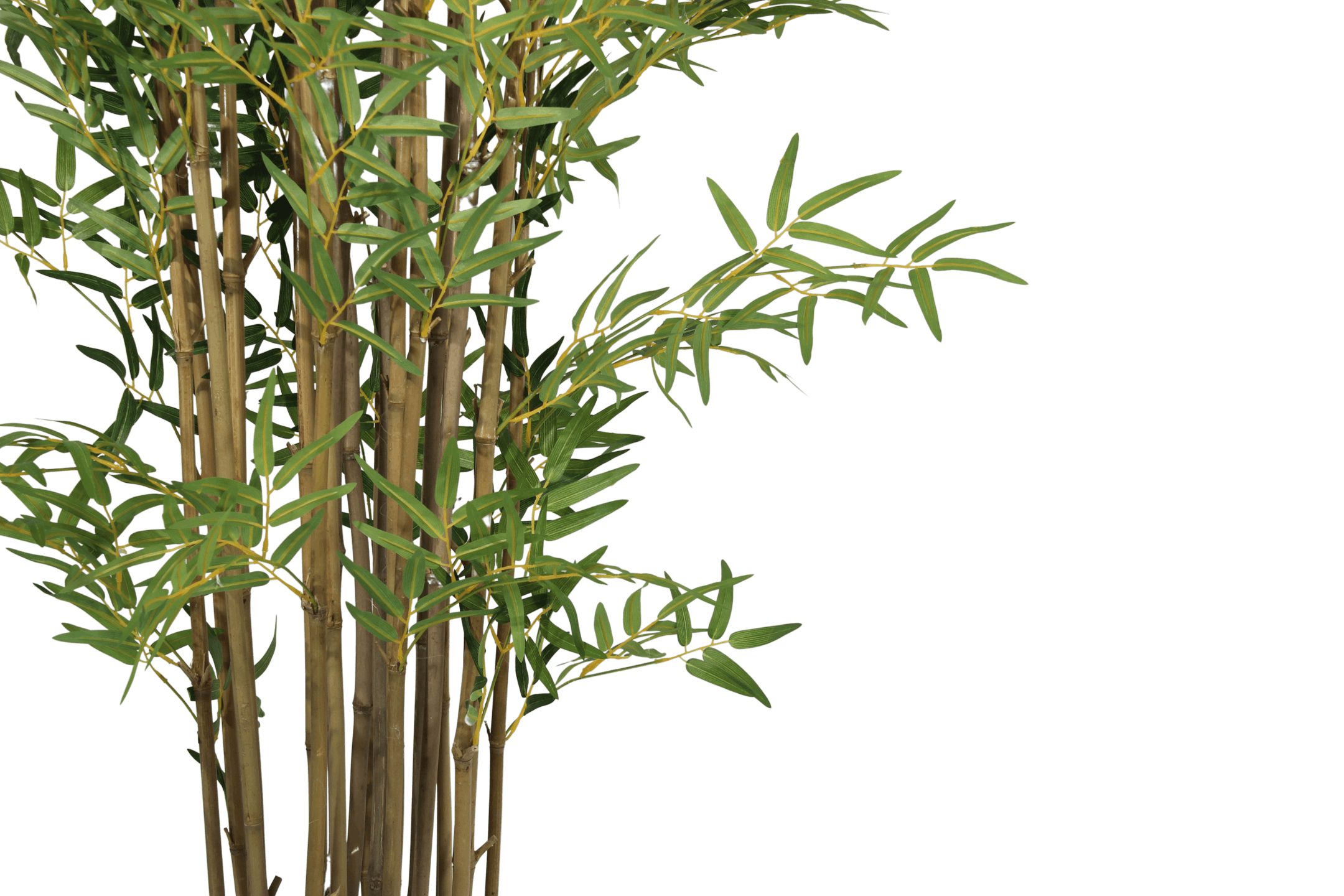 Close up shot of faux bamboo tree canes