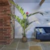 Artificial 200cm 7ft kentia palm in blue living space