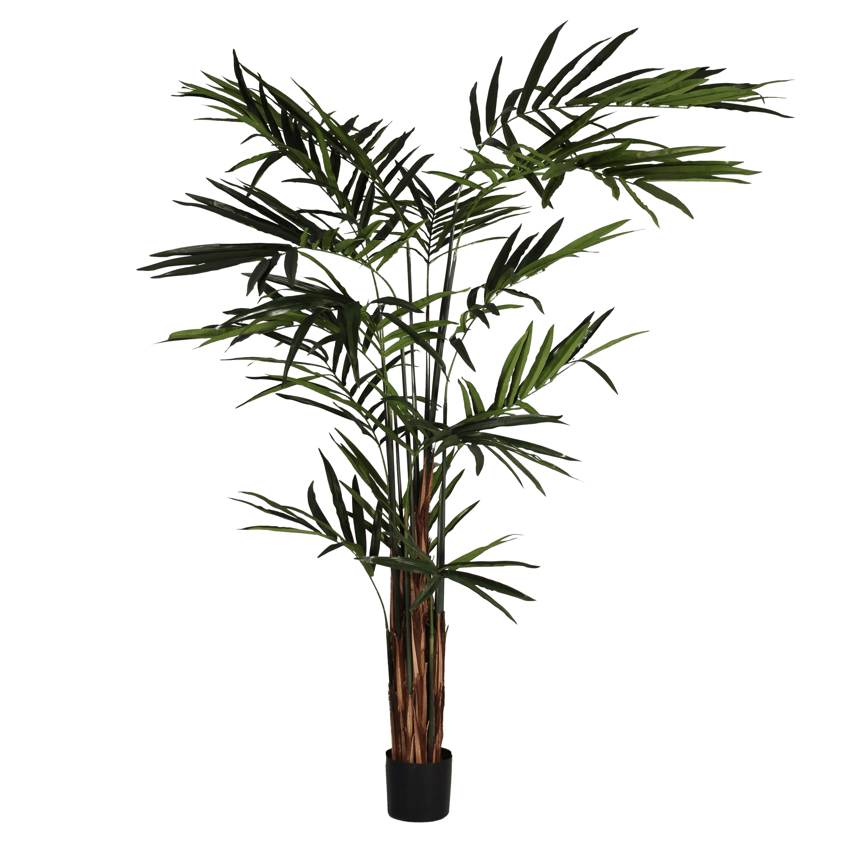 Artificial giant kentia palm