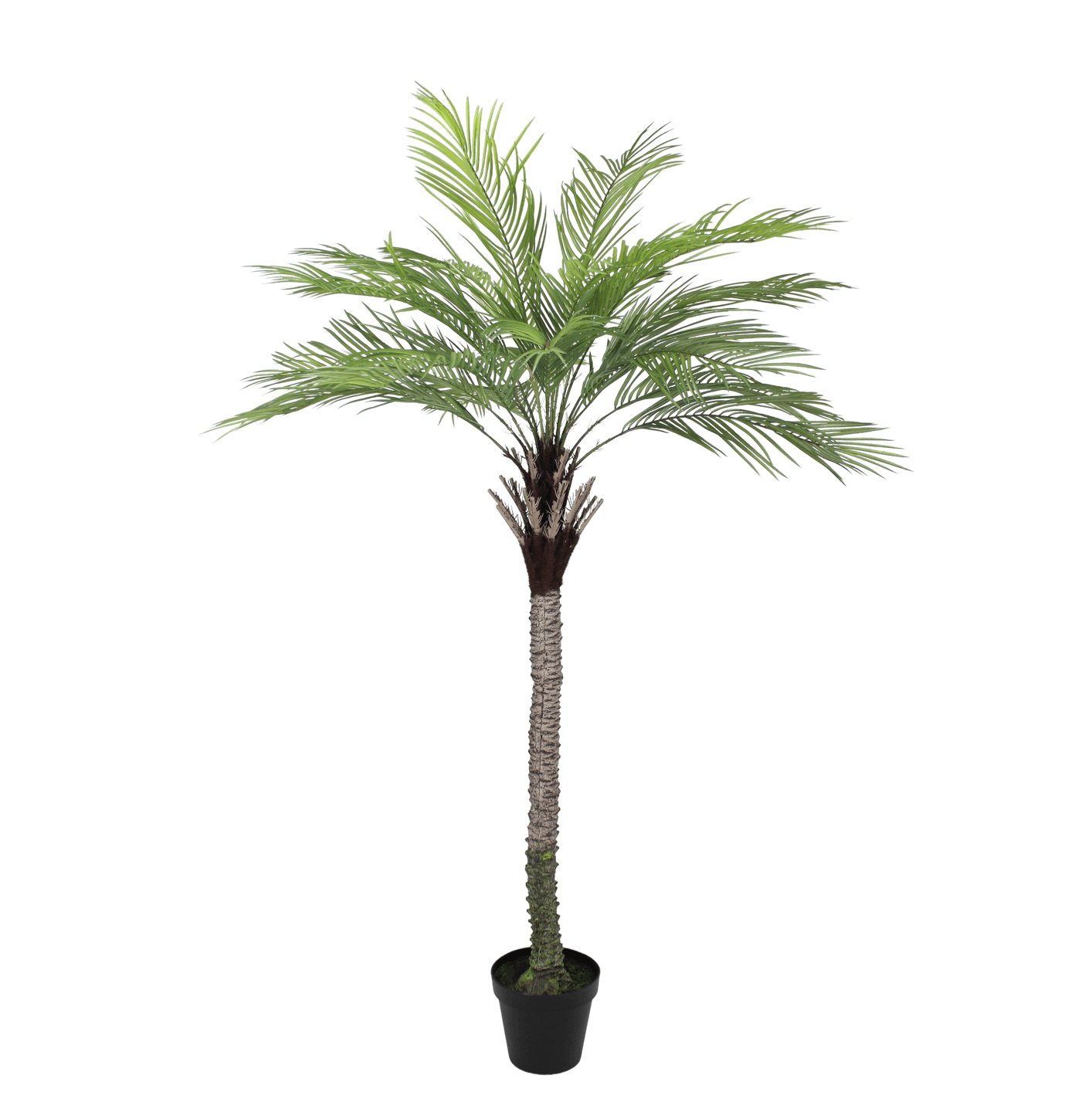 Artificial king palm tree