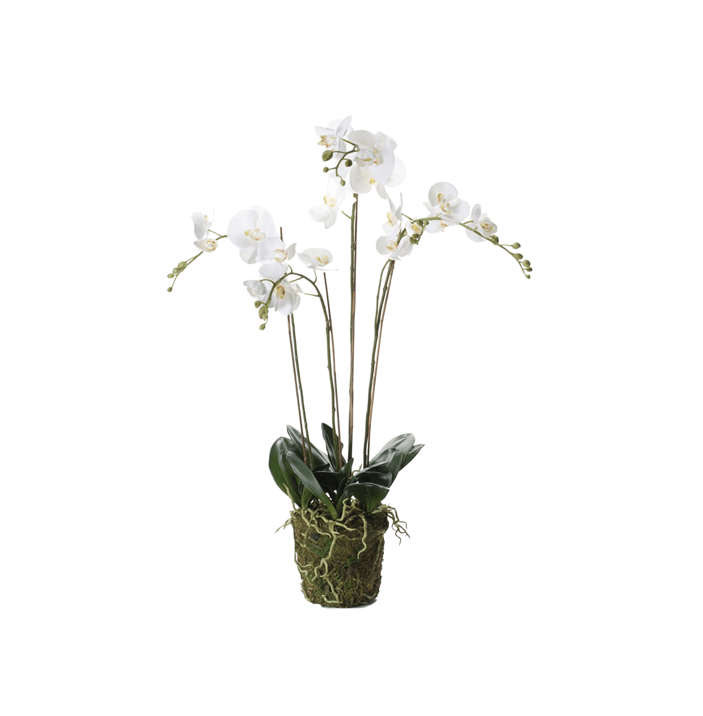 Artificial white moon phalaenopsis orchid 90cm