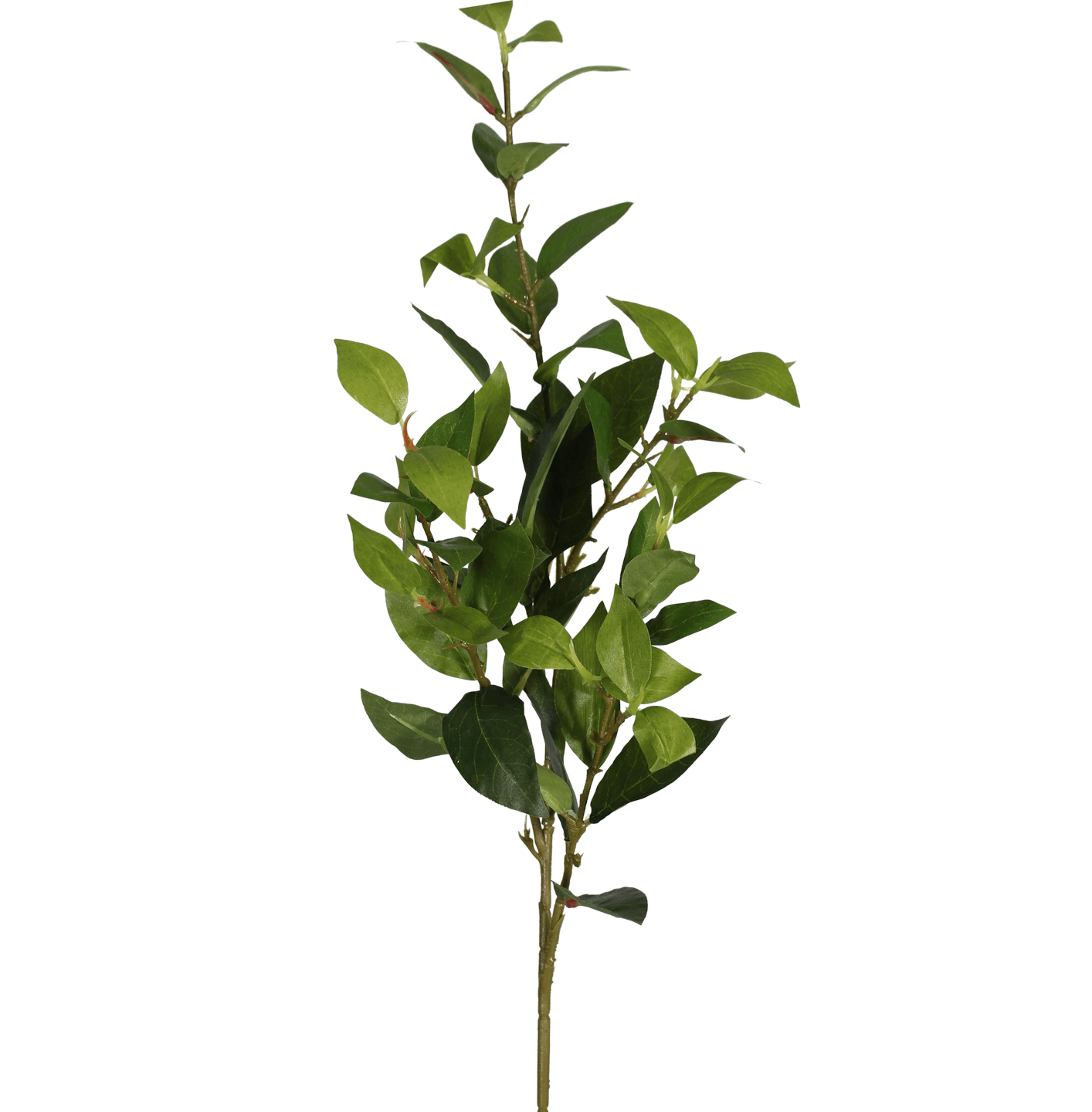 Artificial laurel foliage spray