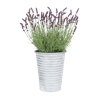 Artificial lavender tin planter