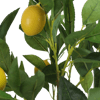 Faux lemon bush foliage