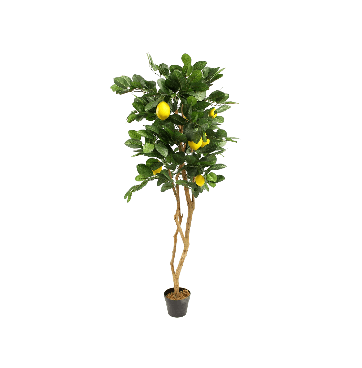 Artificial lemon tree