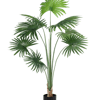 Artificial livingston fan palm