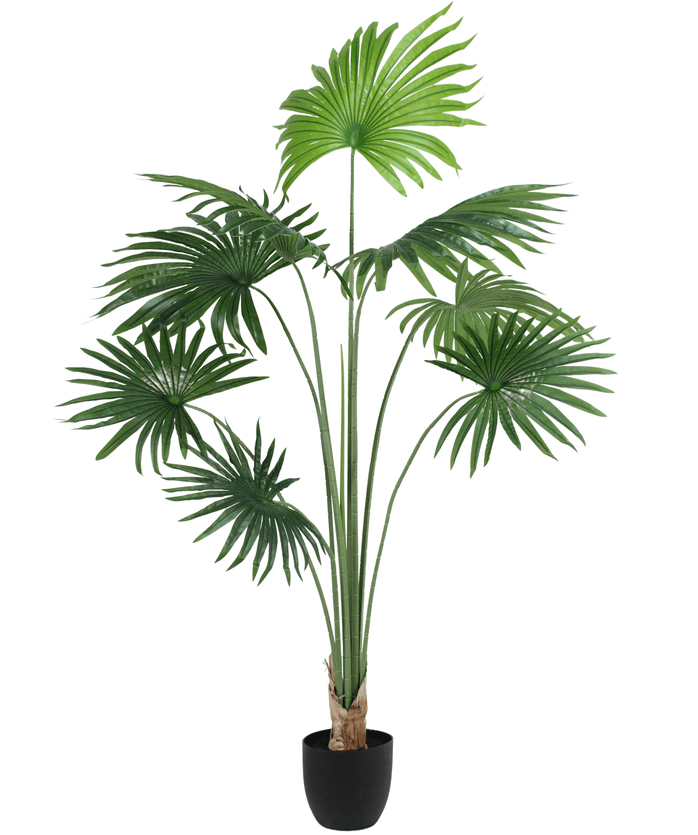 Artificial livingston fan palm