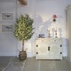 Luxury artificial olive tree in barn bedroom at dusk