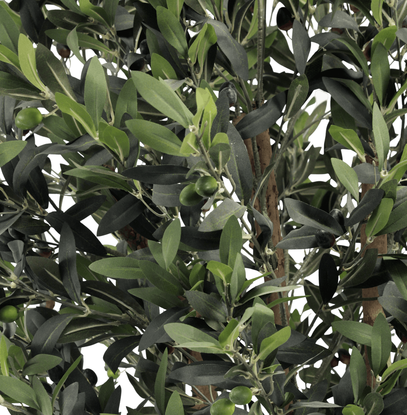 Faux olive tree foliage